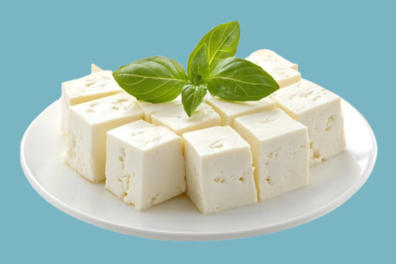 Cold Storage Facility