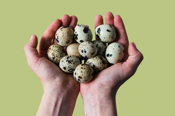 Cold Storage Facility